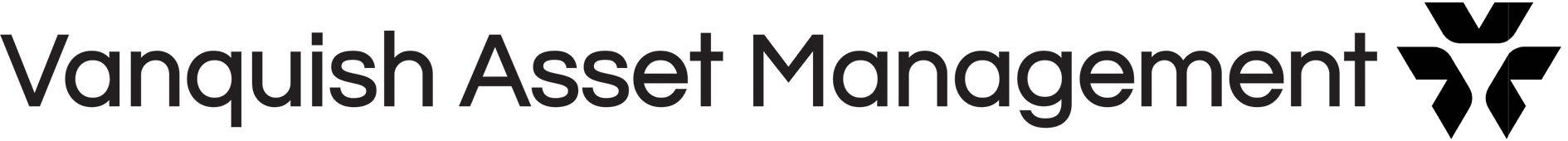 Vanquish Asset Management